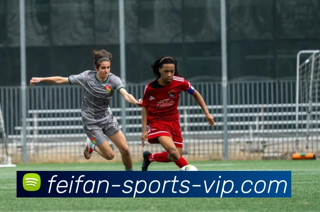 非凡体育APP 体育赛事宣传图